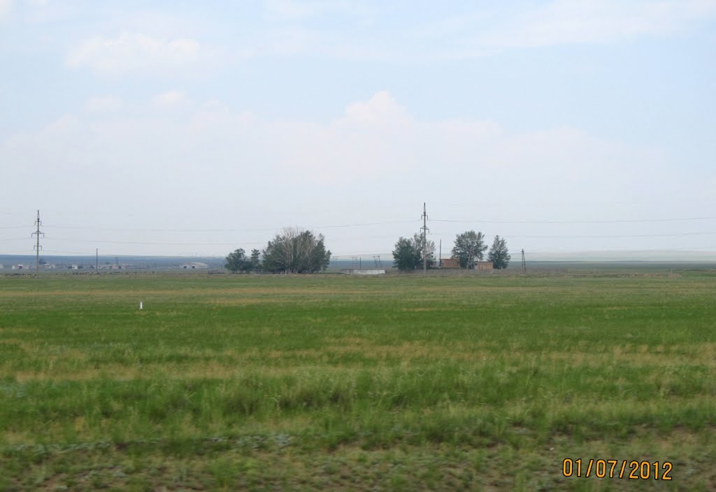 Farm near Petrovka