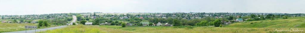 Панорама Медвенки