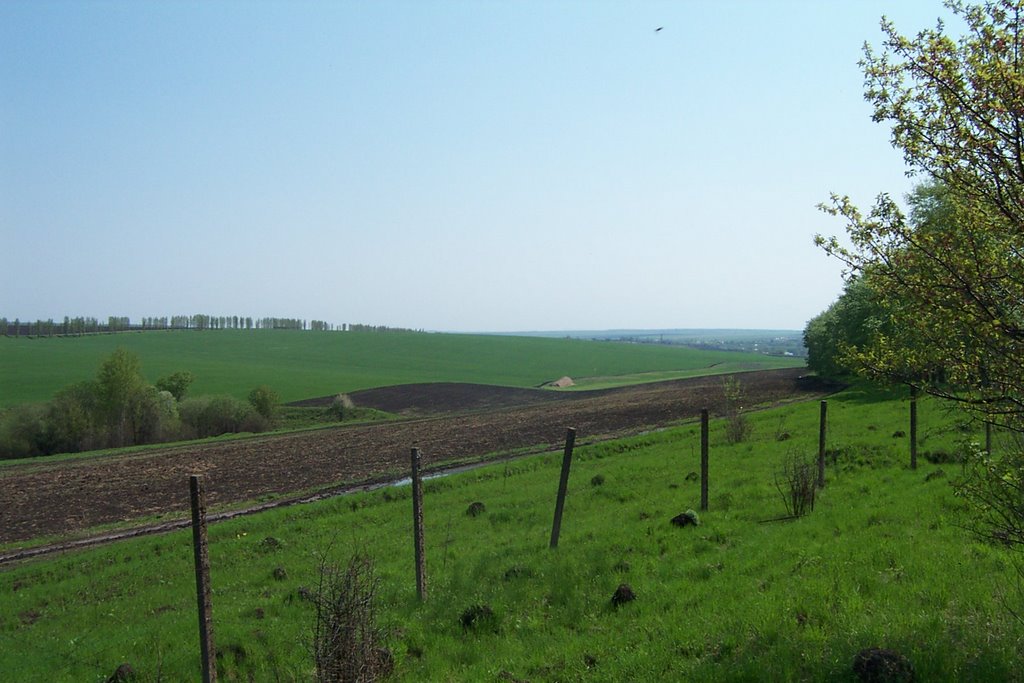Дорога к п. Панино