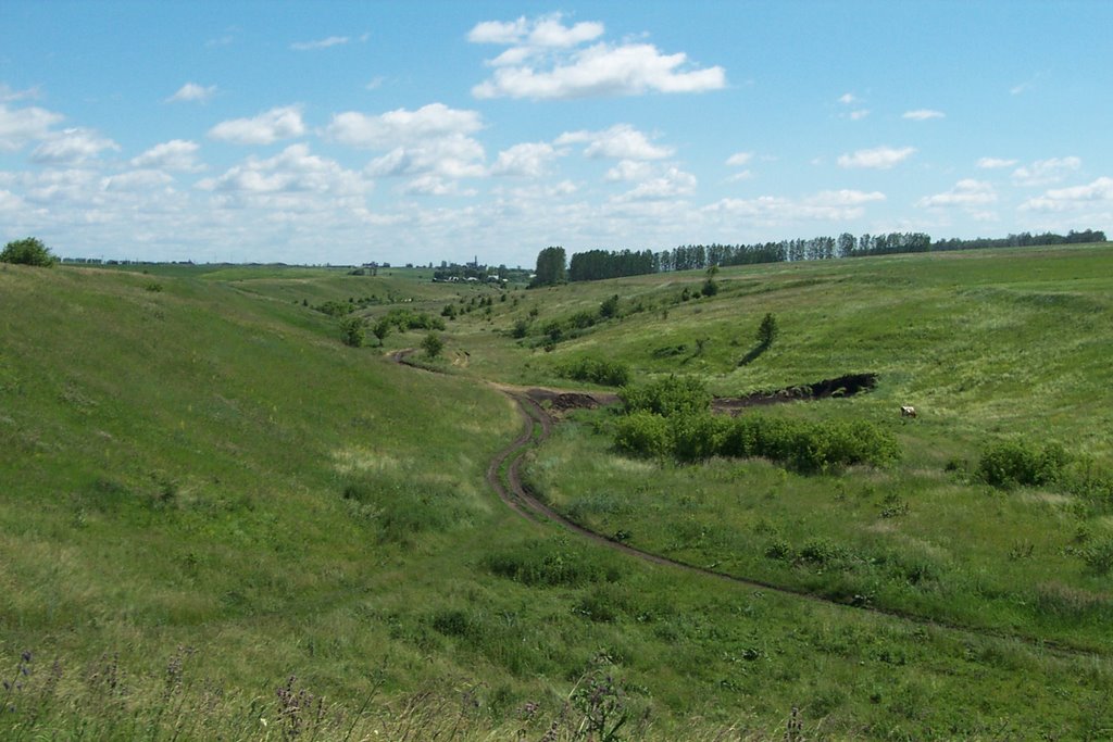 Дорога в балке (около п. Панино)