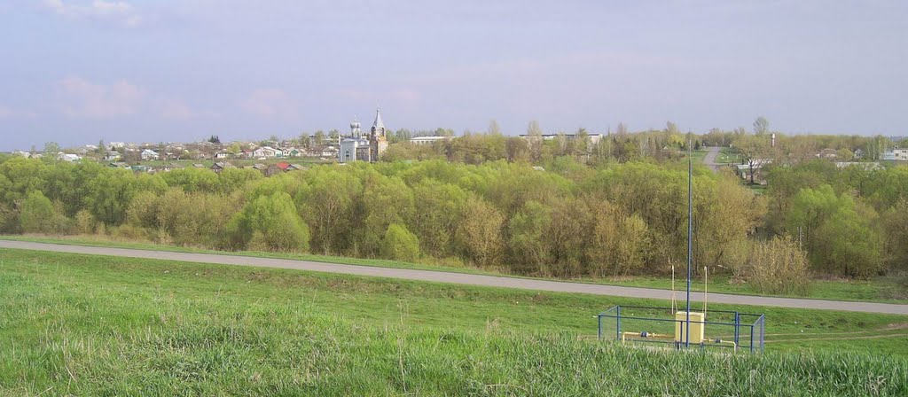 Панино 1-е