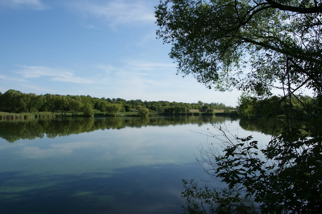 Пруды к югу от Курска