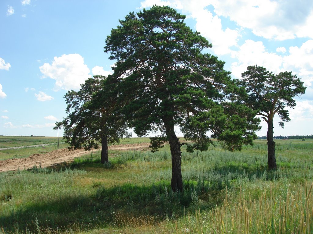 Borodulikha