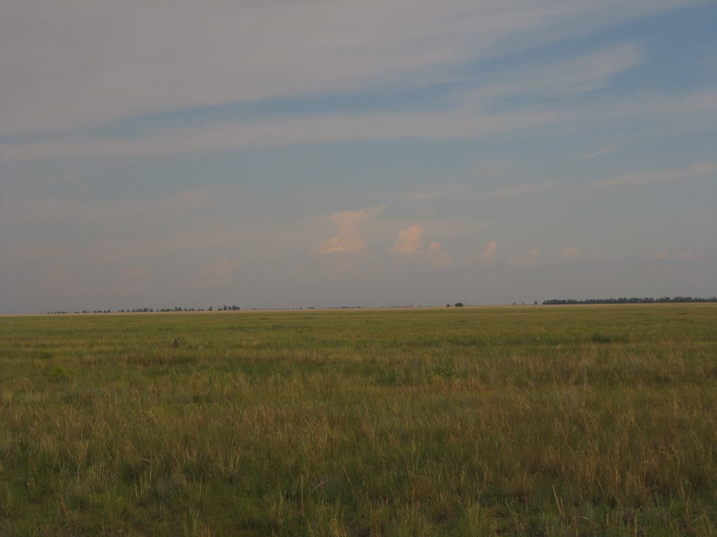 Южная часть Бель-Агачской степи в районе н.п. Дюсекен. Southern parts of Bel-Agach steppe near Duseken village.