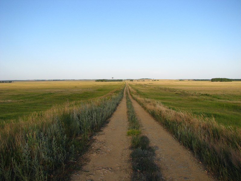 Дорога