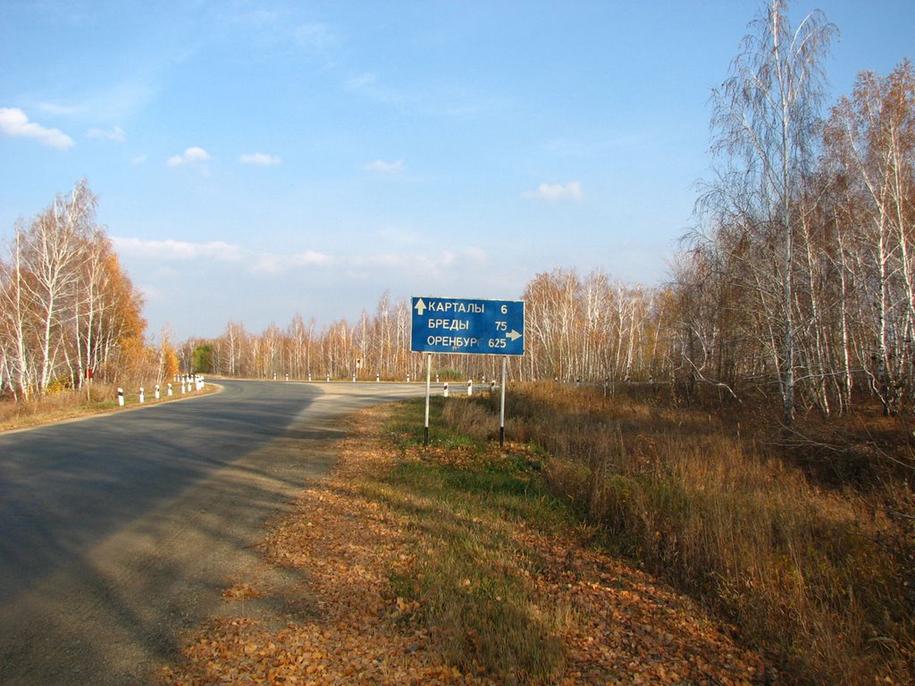 Развилка