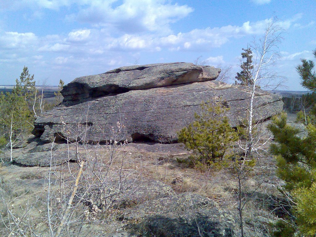 Вершина холма