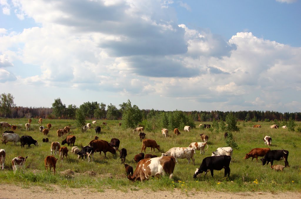Анненск