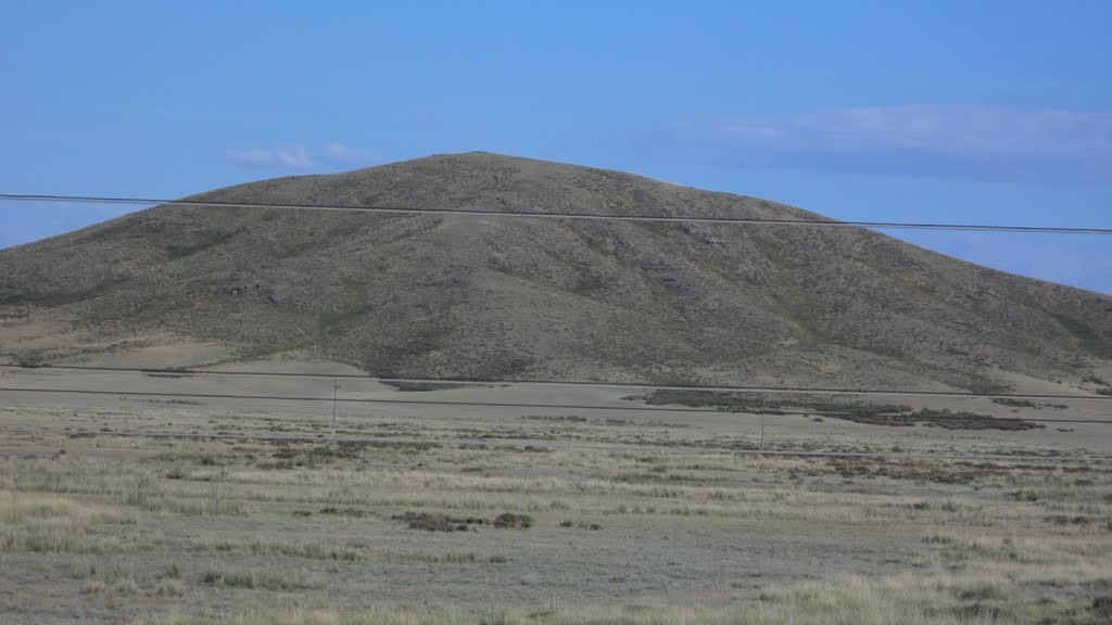 Мелкосопочник