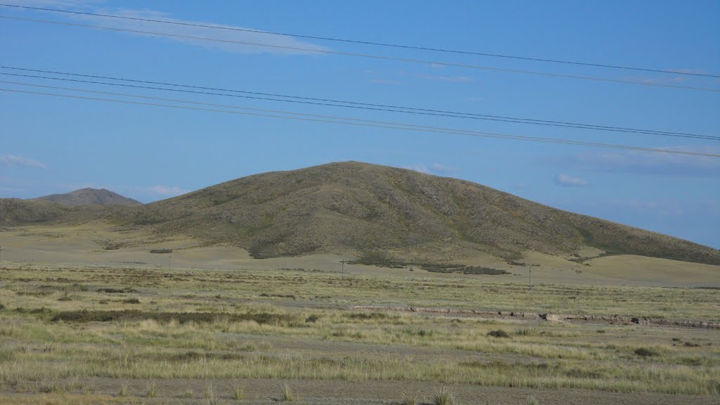 Мелкосопочник