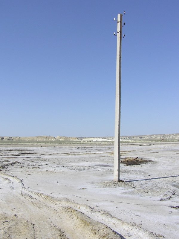 Соровый солончак, 2006г.