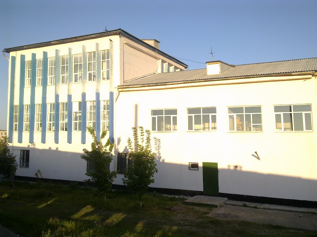 Из окна поезда