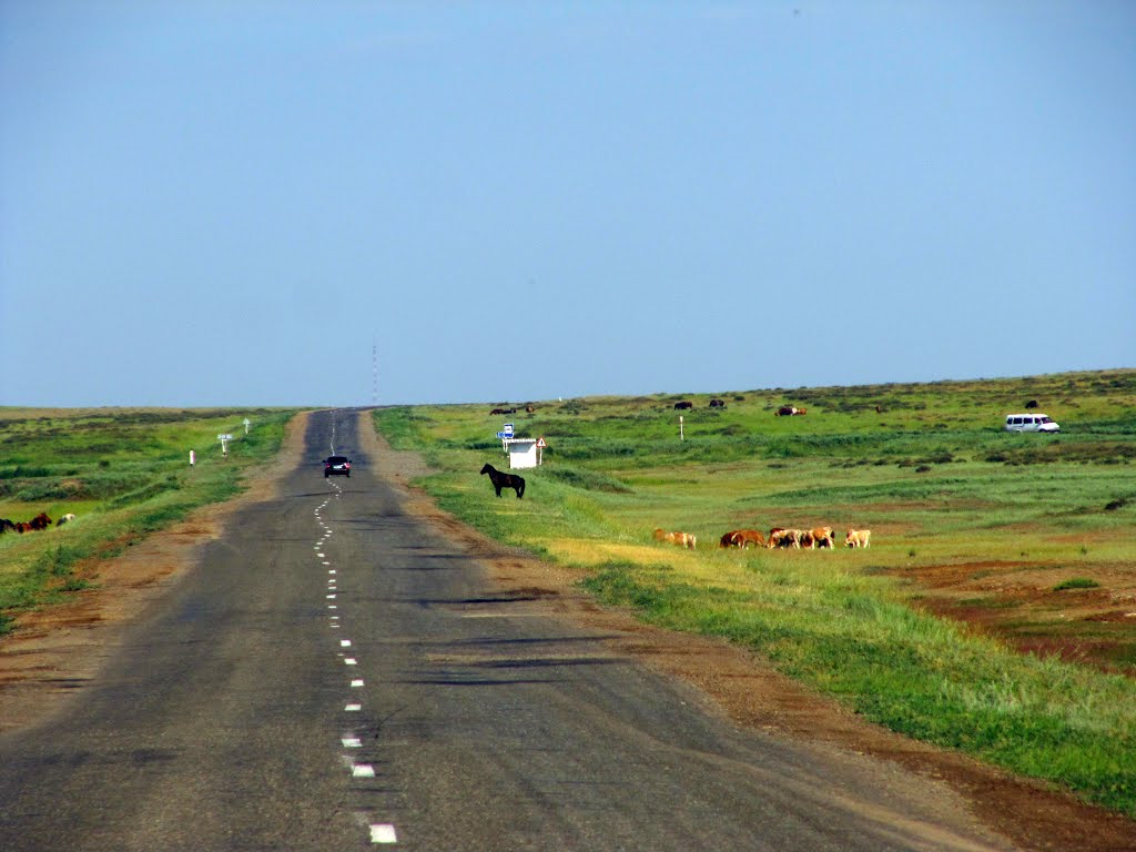 Зайсанский тракт. Телевышка в райцентре Кокпекты. Zaisan highway. TV tower in Kokpekty town.