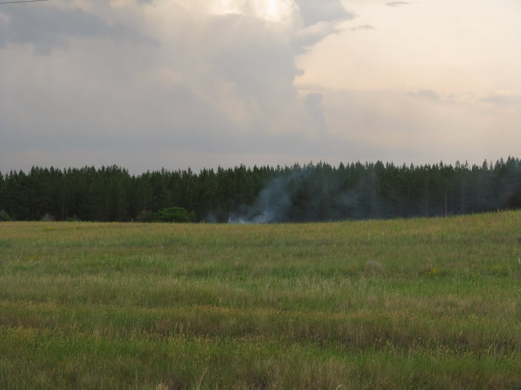 Лес у Красного аула. В месте, куда только что ударила молния, горит трава. Forest near Red Aul village. The place where the lightning has just struck, the grass is burning.