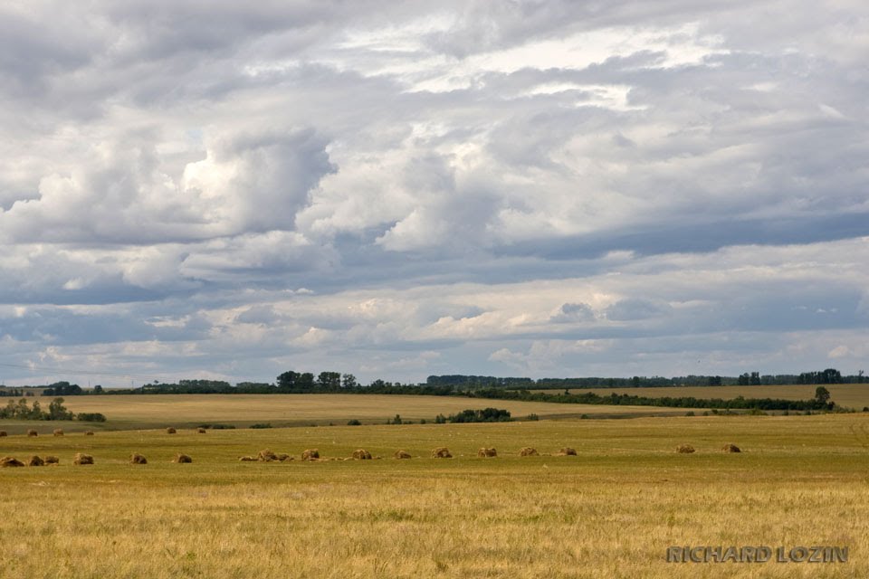 Алтайский край
