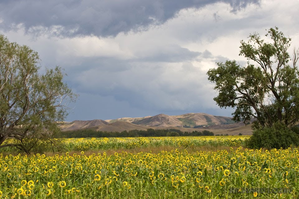 Алтайский край