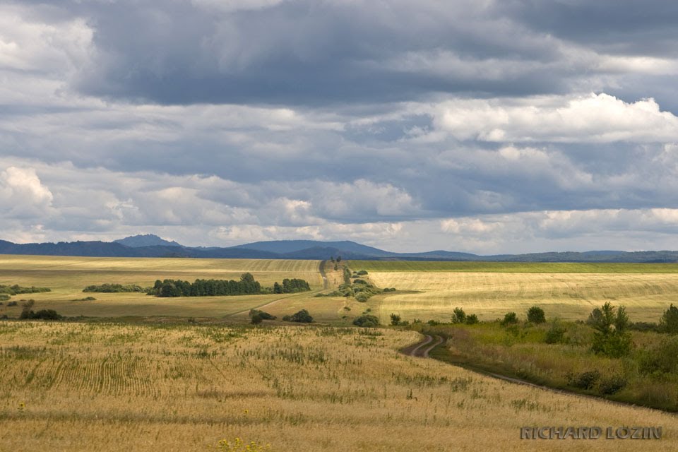 Алтайский край
