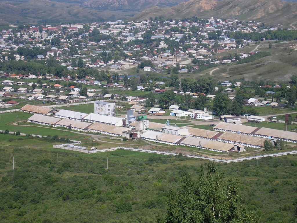 Змеиногорск