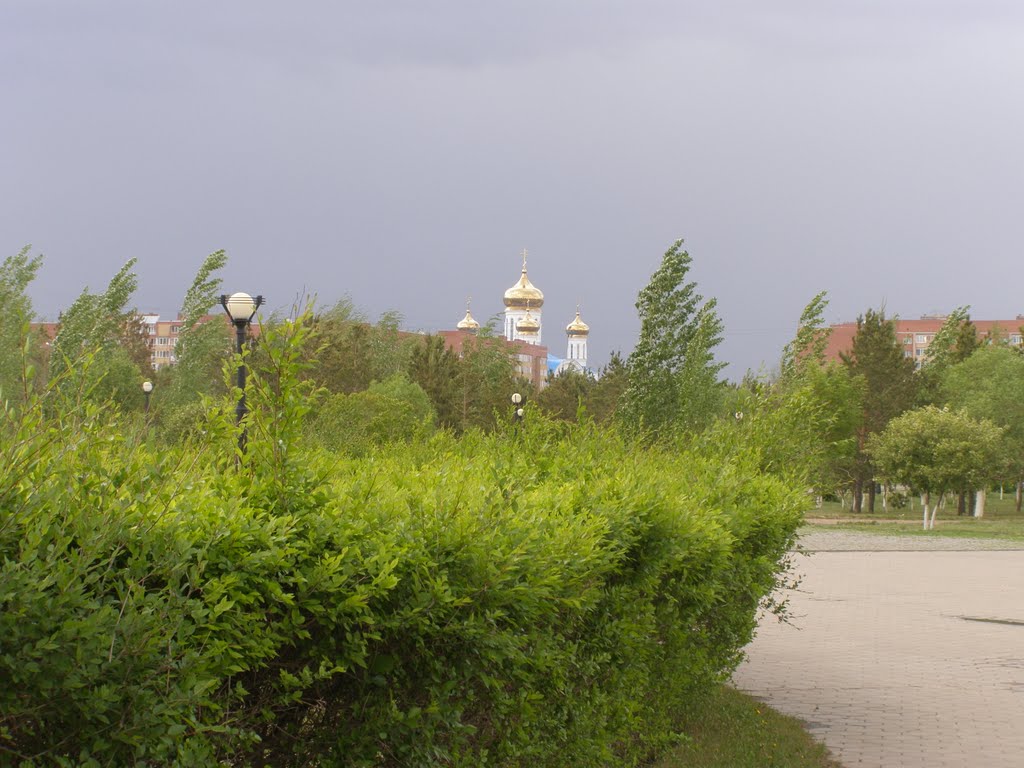 Молодые деревья в Президентском парке / Young trees in the Presidential Park
