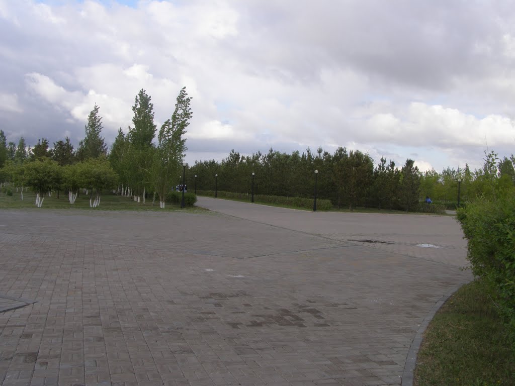 Дорожки в парке / Young Park