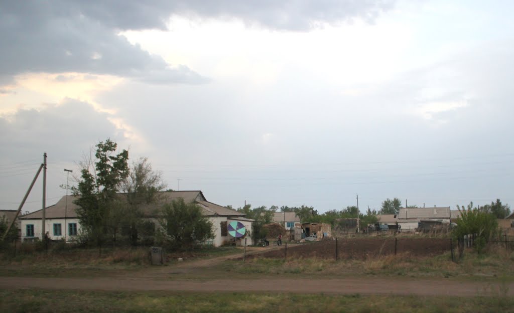 2014_05_16 крутая тарелка