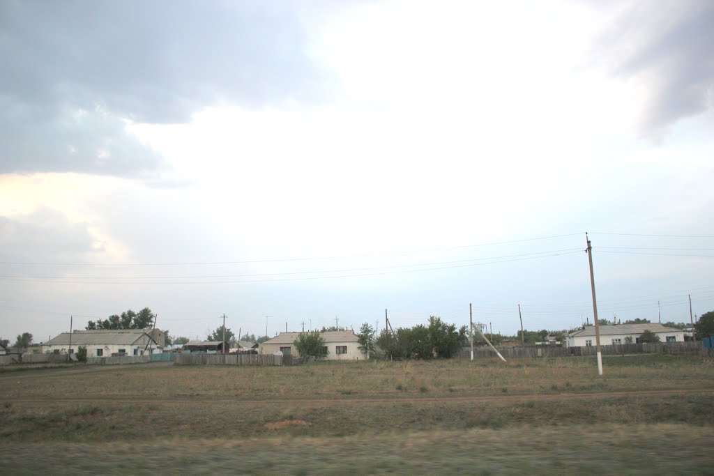 2014_05_16 дома в поселке