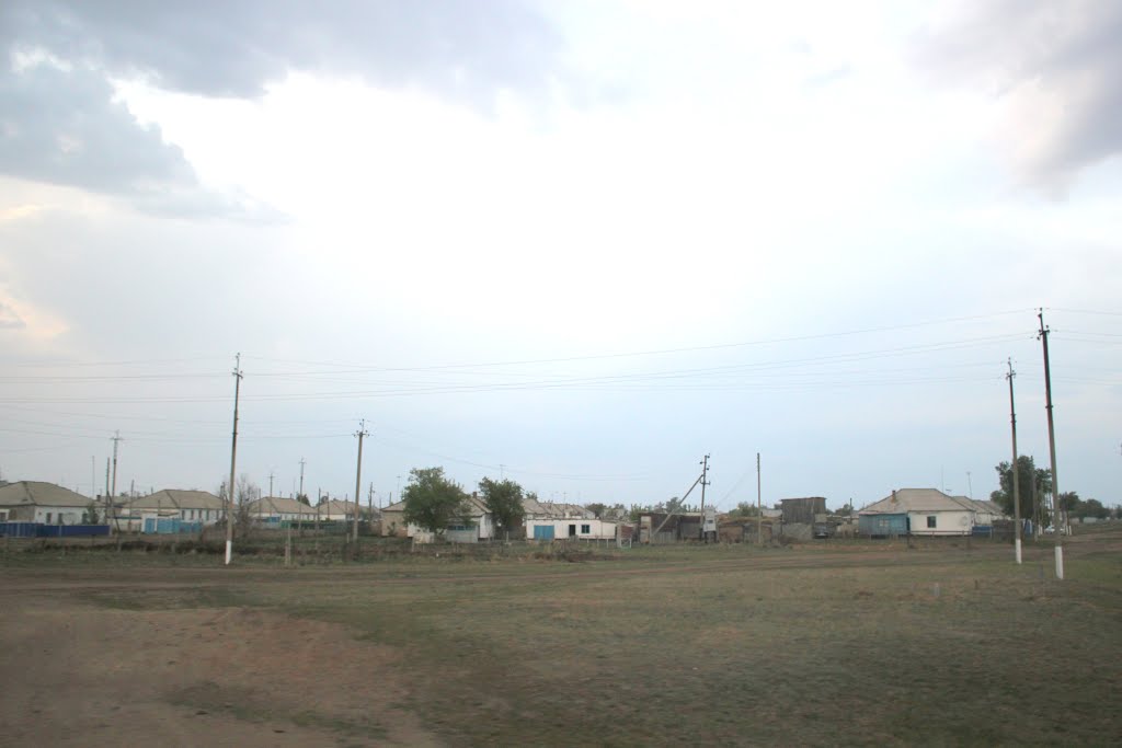 2014_05_16 в поселке