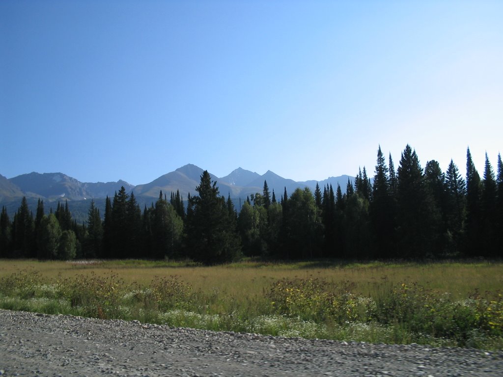 тайга под Риддером