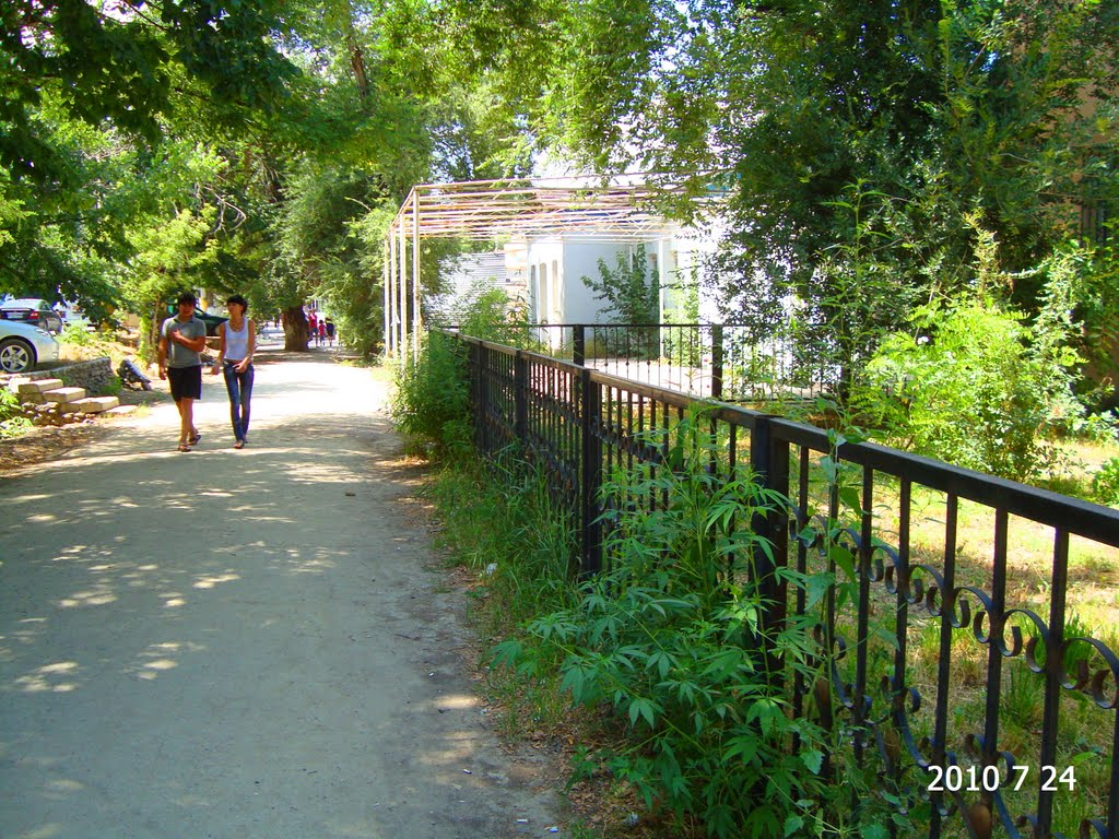 Оградка "СУДа" а вдоль оградки то за что осуждают.