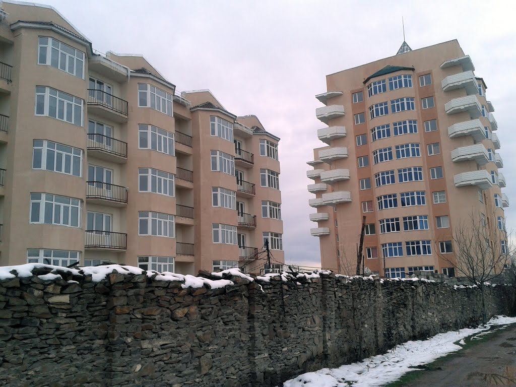 2013-03-11 10.41.43.jpg