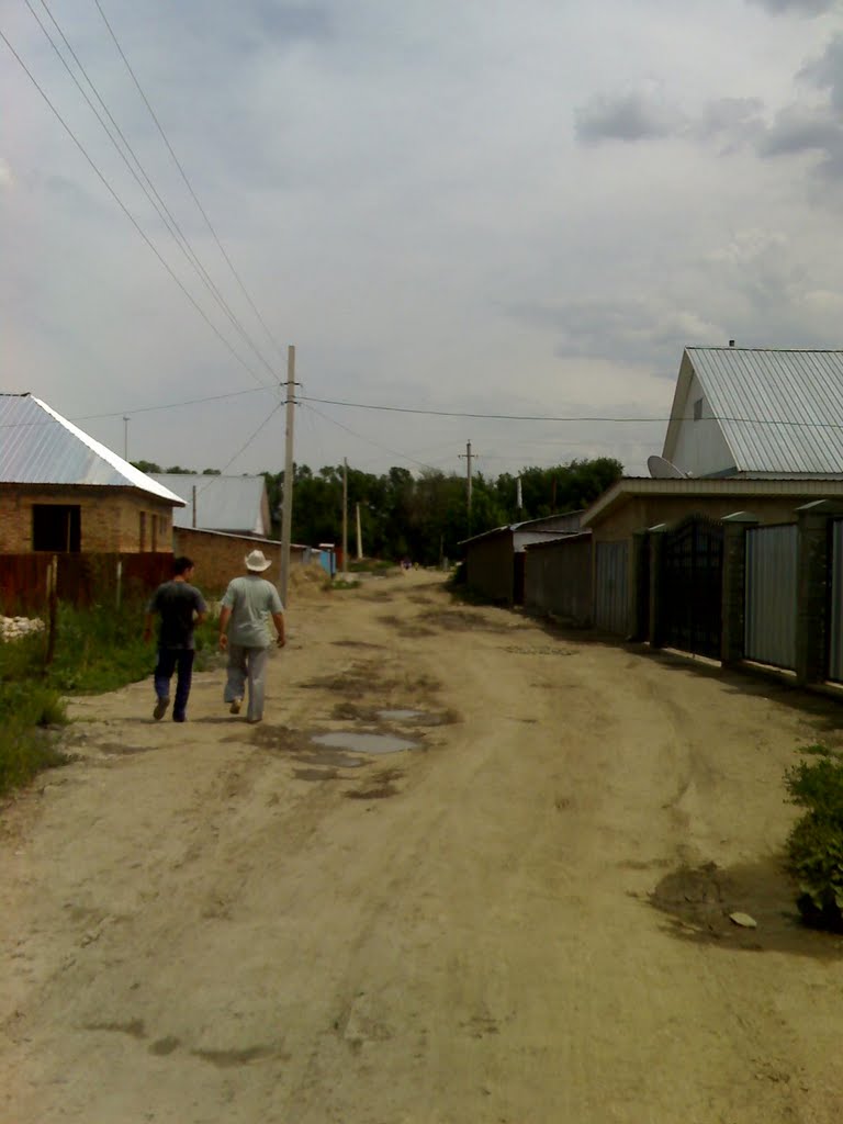 улица Тлендиева