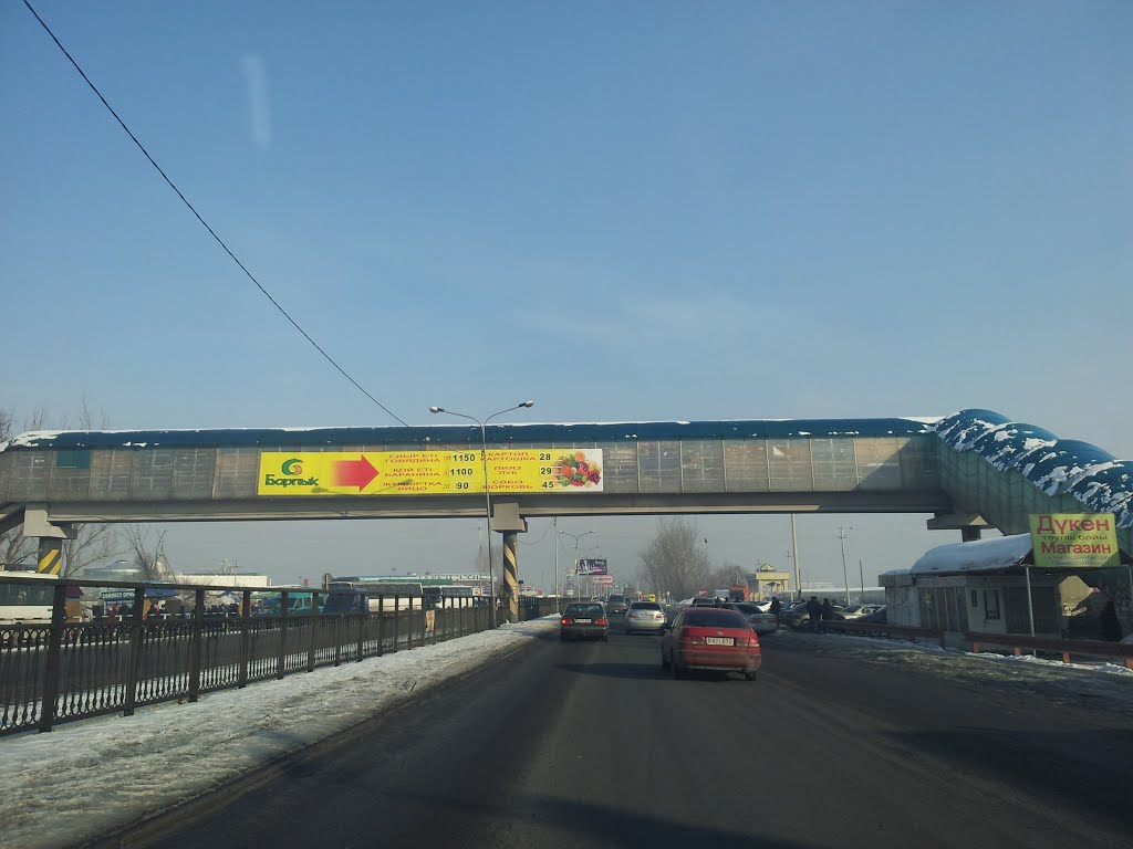 Пешеходный мостик на Алтын-Орде