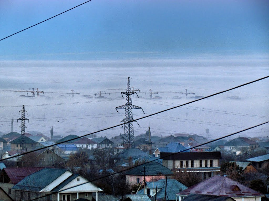 New development in kalkamane