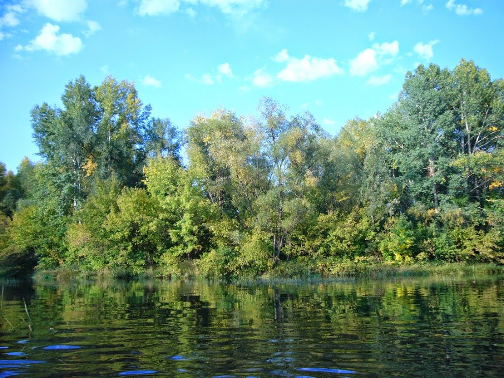 г.Усть-Каменогорск, р.Иртыш, возле дач в районе Аэропорта,  сентябрь 2008г.