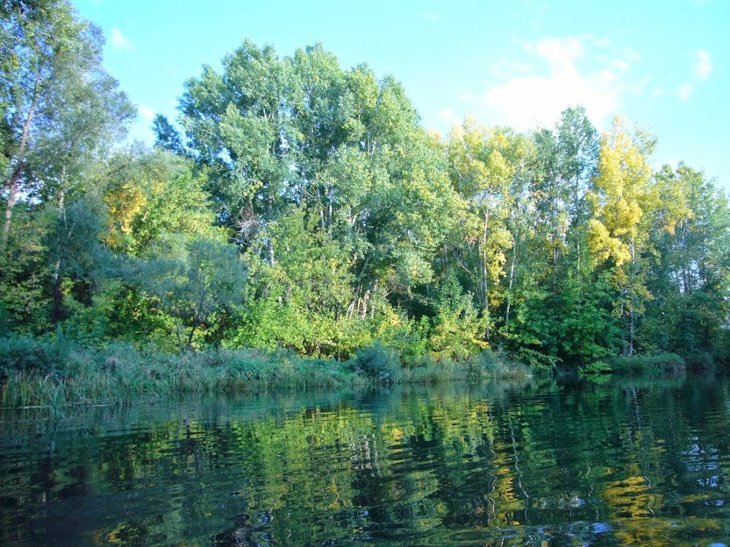 г.Усть-Каменогорск, р.Иртыш, возле дач в районе Аэропорта,  сентябрь 2008г.