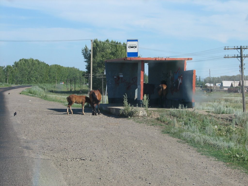 Avtobusna postaja