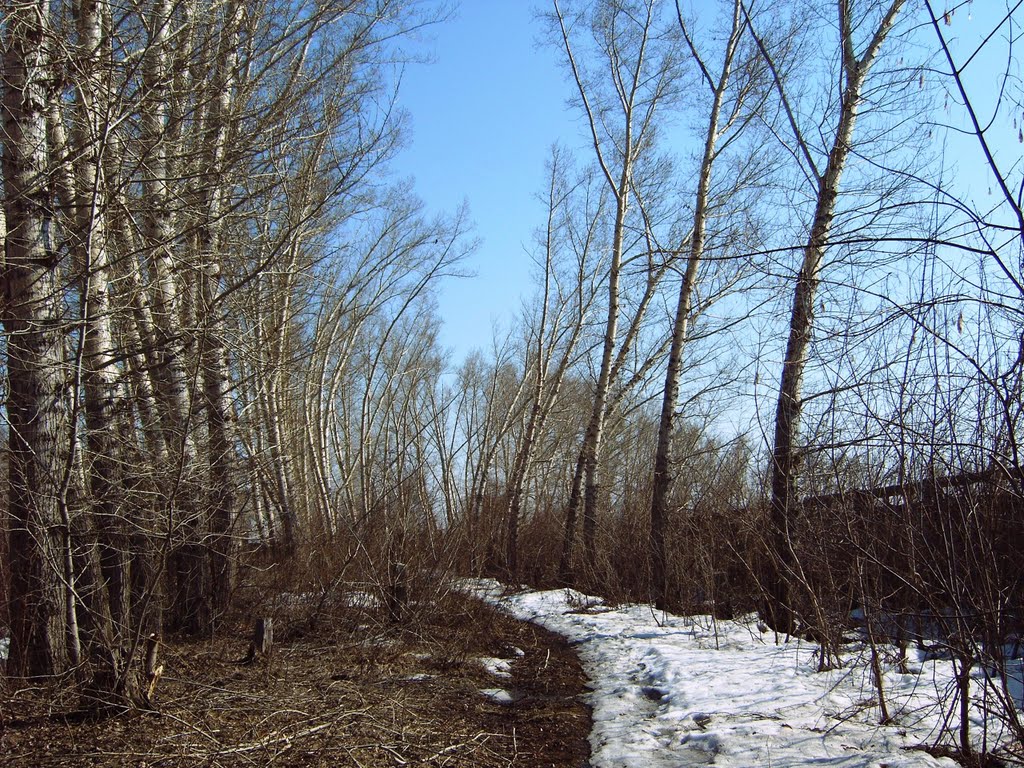 апрель 2010