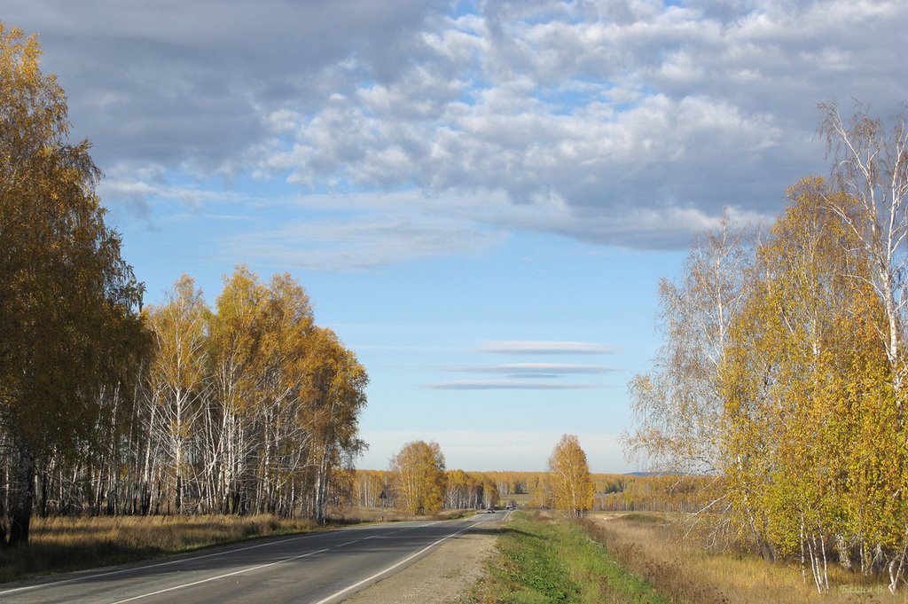 Дорога в осень.