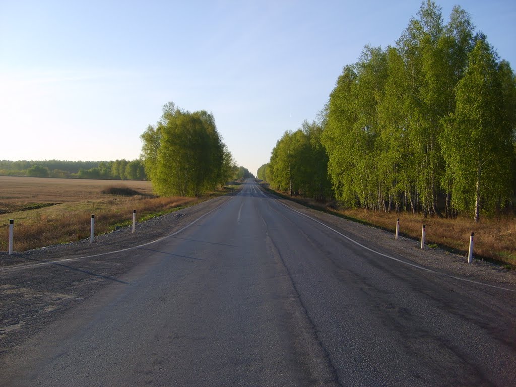 Morning in the country - Photo 001