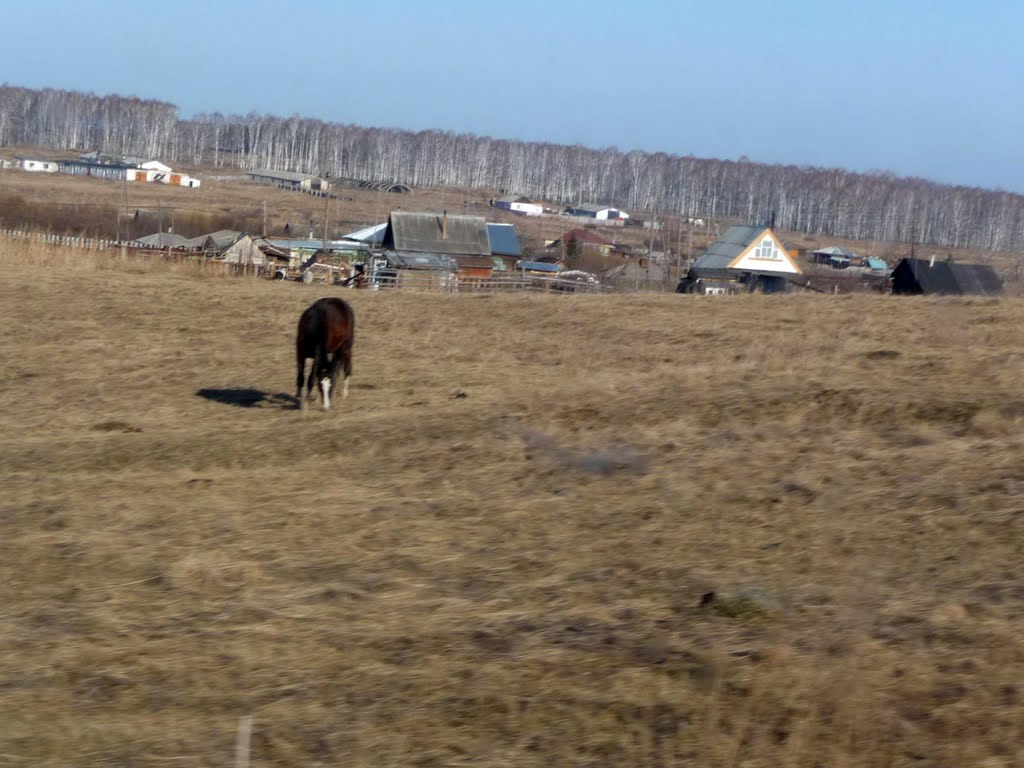 д. Запивалово.Village Zapivalovo