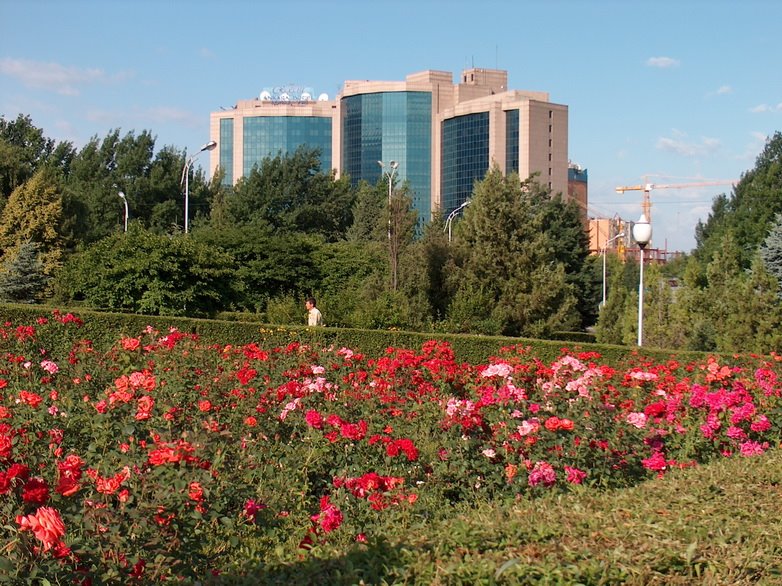 Hotel Ankara