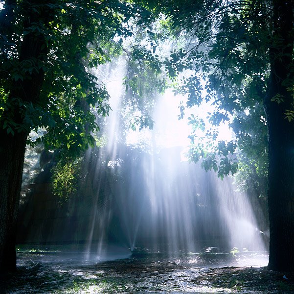 The Park