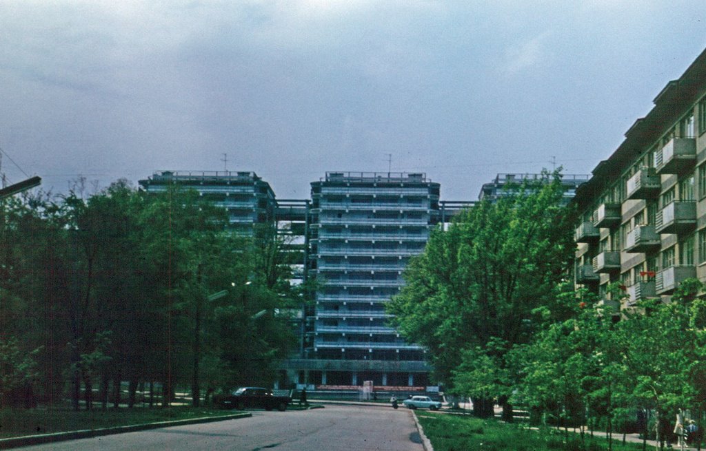 Три Богатыря 1975