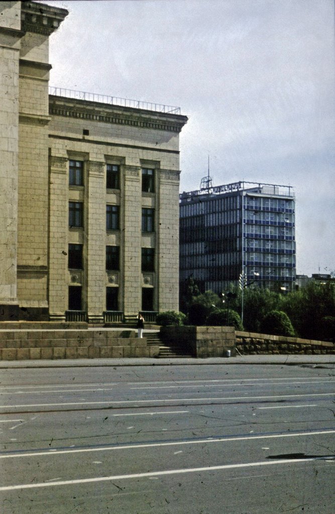 1969