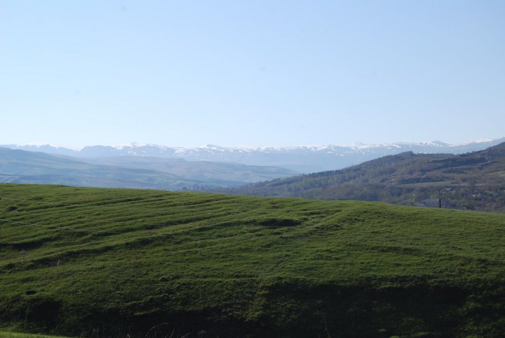 Луга