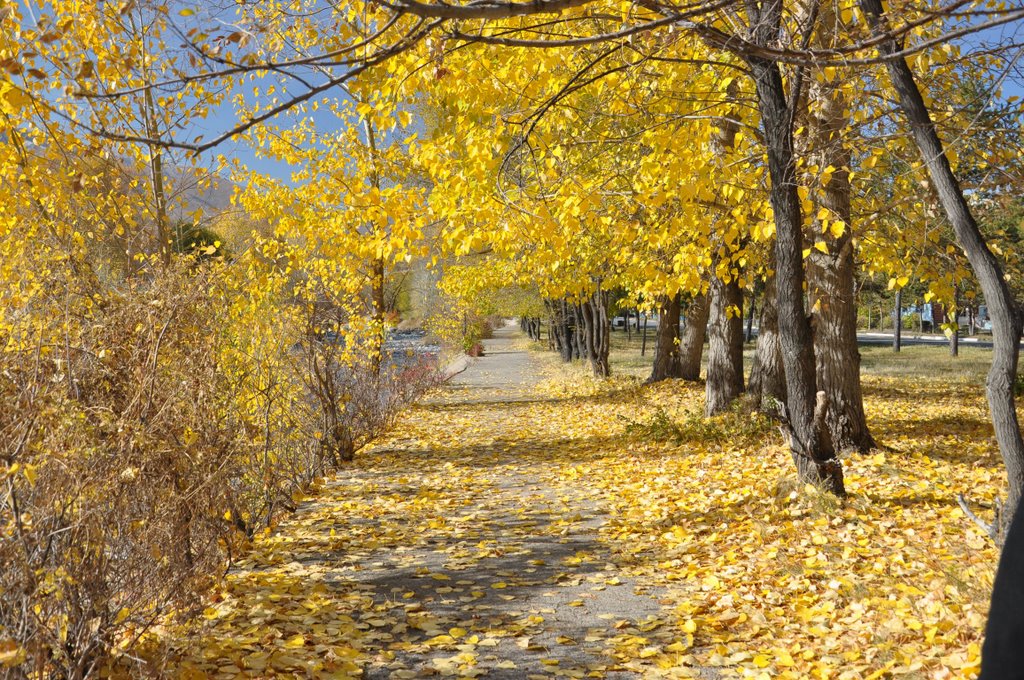 Autumn in Tekeli / Осень в Текели