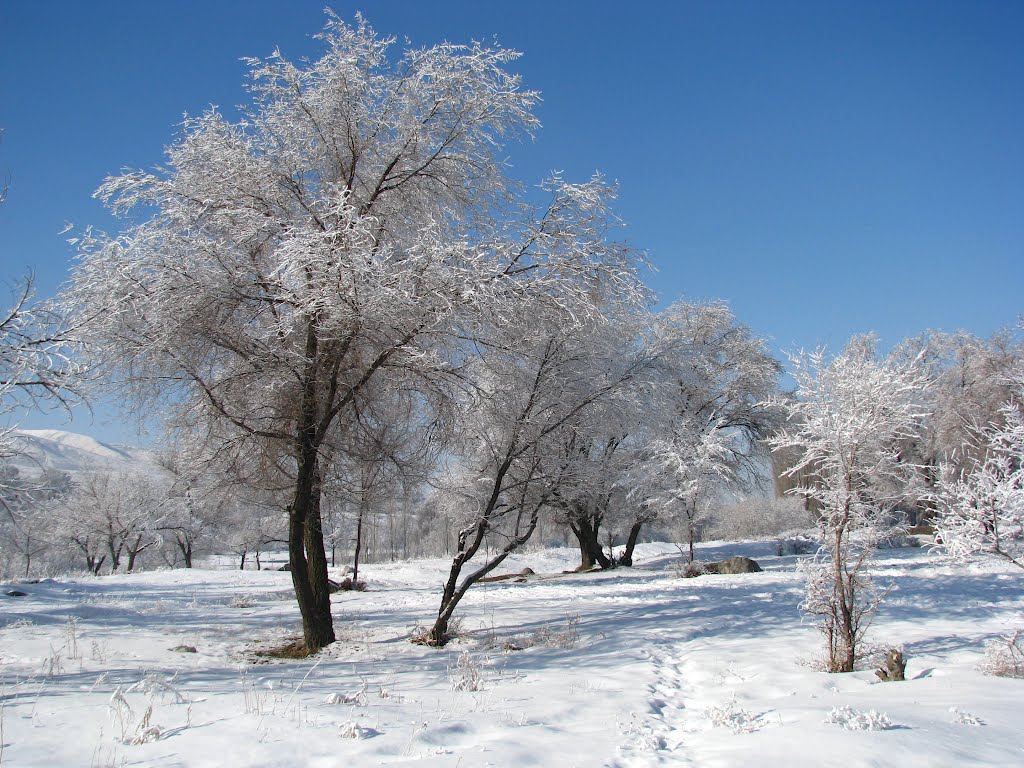 В  нашем парке зима ...