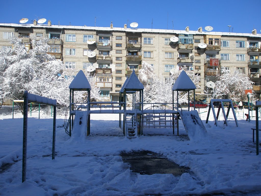 Наш дворик