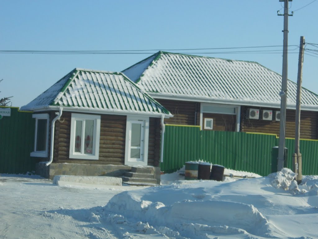 Кустанай, дом ДЕПа