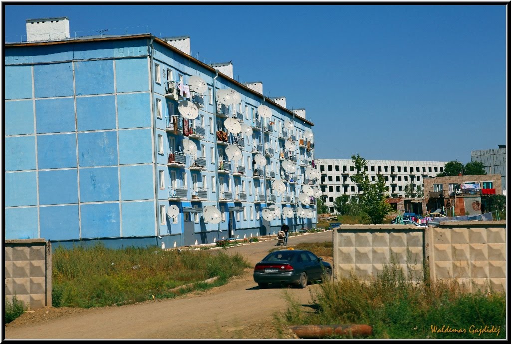 Державинск 1 (возрождение)